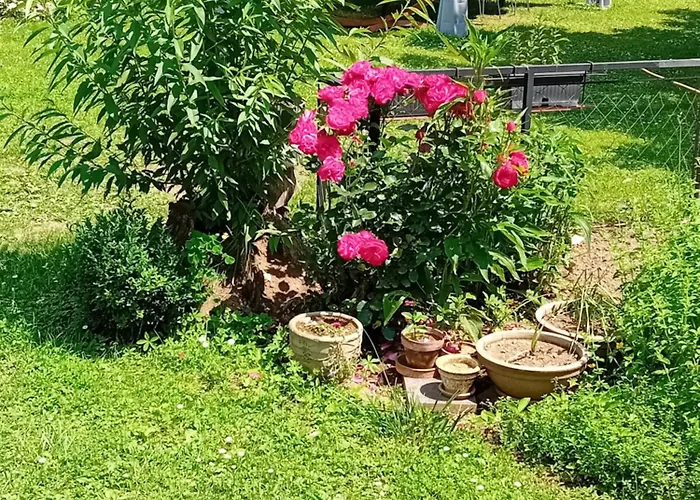 Luxury tent Indian Tent Tipi In Shared Lot And Shared Bathroom